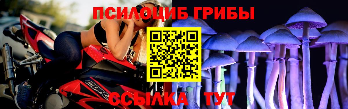 Псилоцибиновые грибы мухоморы Нарьян-Мар